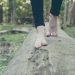 Sind Barfußschuhe noch im Trend? Sind Barfußschuhe noch im Trend?